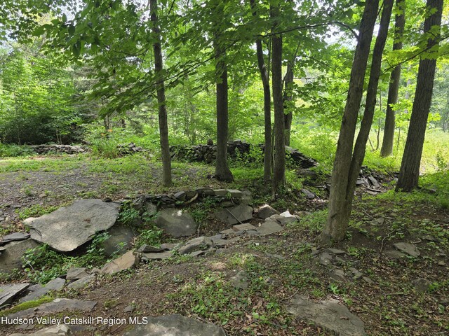597 Ross Ruland Rd, Cairo, NY 12413 - photo 3