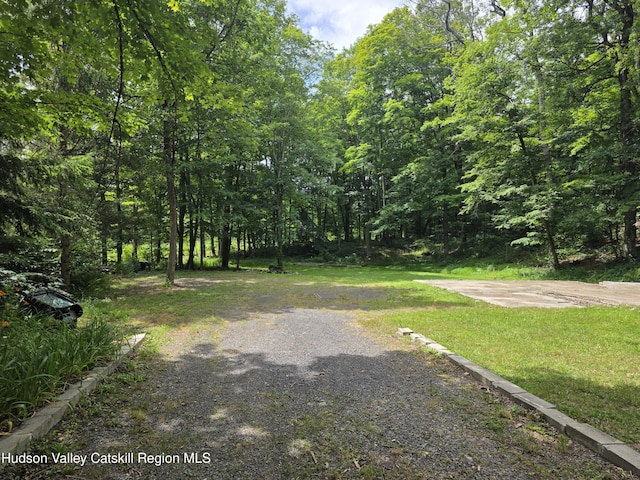 597 Ross Ruland Rd, Cairo, NY 12413 - photo 1