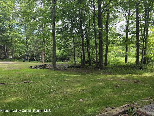 597 Ross Ruland Rd, Cairo, NY 12413 - photo 9