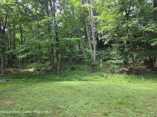 597 Ross Ruland Rd, Cairo, NY 12413 - photo 6