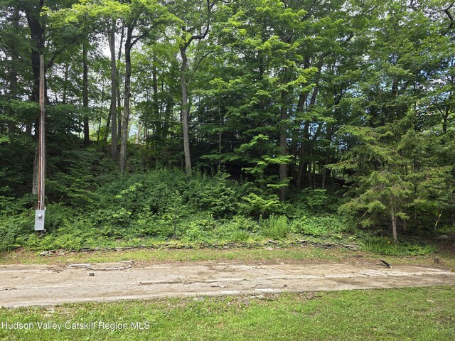 597 Ross Ruland Rd, Cairo, NY 12413 - photo 12