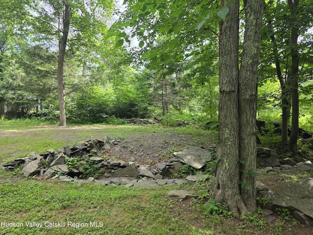 597 Ross Ruland Rd, Cairo, NY 12413 - photo 7