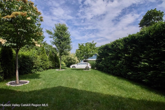 80 Clifton Ave, Kingston, NY 12401 - photo 35