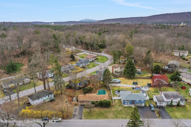 4 Sterley Ave, Saugerties, NY 12477 - photo 19