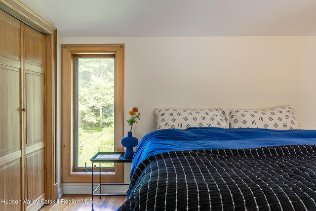 bedroom with hardwood / wood-style floors, a closet, and multiple windows