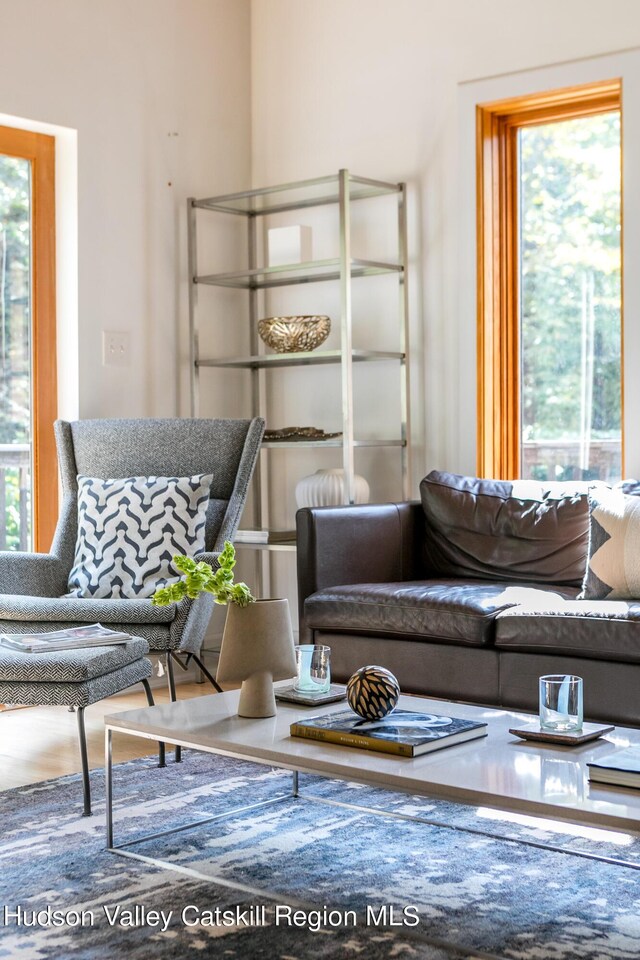 living room featuring a wealth of natural light and wood-type flooring