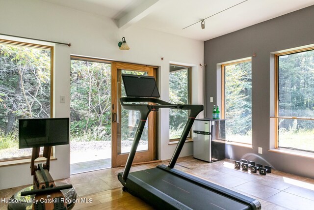 workout area featuring plenty of natural light and light hardwood / wood-style floors