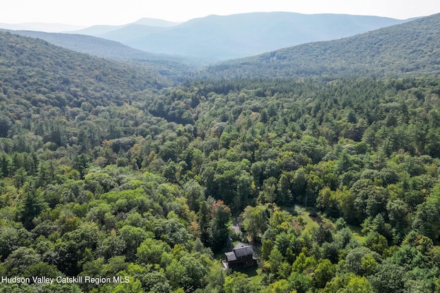 drone / aerial view with a mountain view