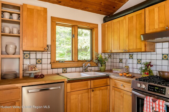 kitchen with decorative backsplash, sink, stainless steel appliances, and extractor fan