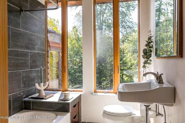 bathroom with toilet, a wealth of natural light, and a bathing tub