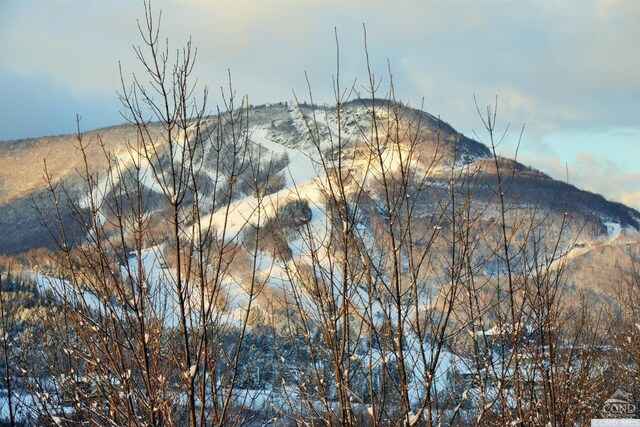 59 Scribner Hollow Rd # B-2, Hunter, NY 12442 - mountain view