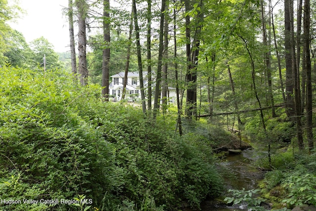 23 Wintergreen Hill Rd, Kingston, NY 12401 - photo 53