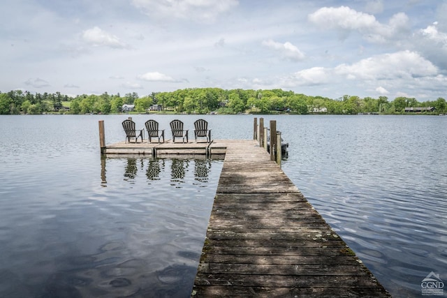 250 Island Dr, Craryville, NY 12521 - photo 4