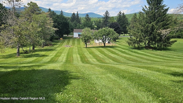 183 S St, Windham, NY 12496 - view of grassy yard with a mountain view