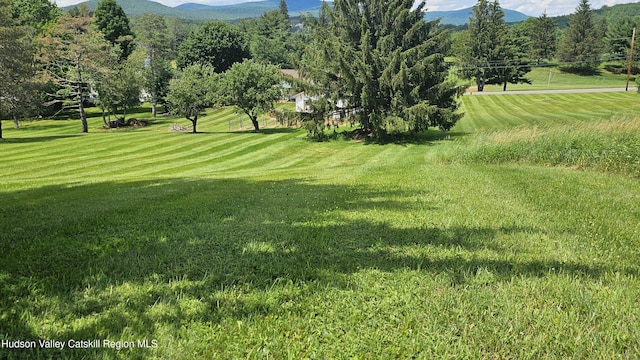 183 S St, Windham, NY 12496 - view of grassy yard with a mountain view