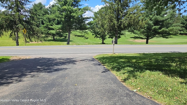 183 S St, Windham, NY 12496 - view of asphalt road
