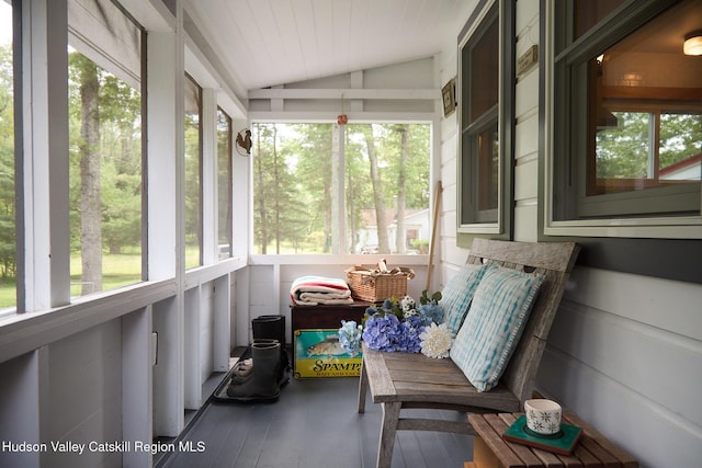 315 Forest Glen Rd, New Paltz, NY 12561 - photo 30