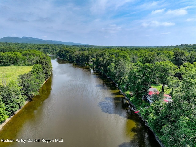 315 Forest Glen Rd, New Paltz, NY 12561 - photo 43