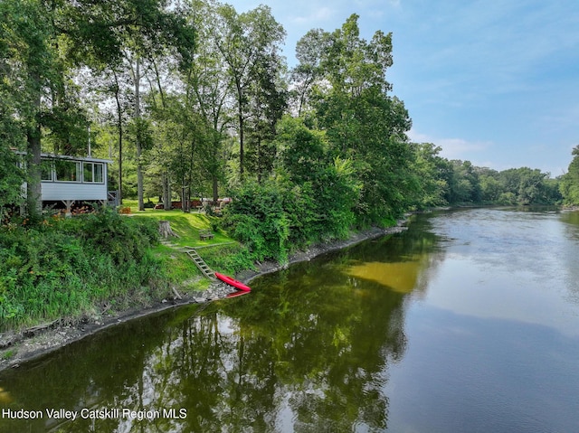 315 Forest Glen Rd, New Paltz, NY 12561 - photo 3