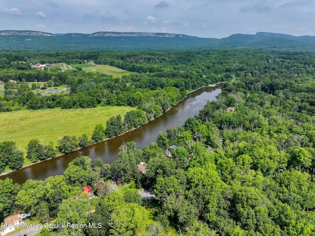 315 Forest Glen Rd, New Paltz, NY 12561 - photo 5