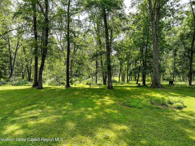 315 Forest Glen Rd, New Paltz, NY 12561 - photo 35