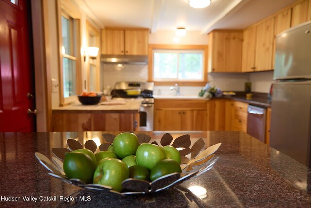 315 Forest Glen Rd, New Paltz, NY 12561 - photo 29