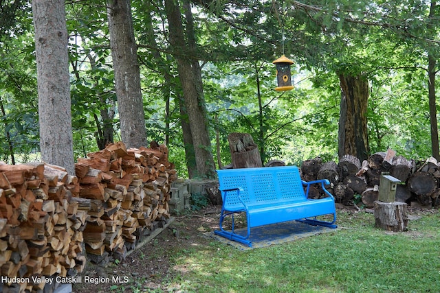 315 Forest Glen Rd, New Paltz, NY 12561 - photo 39