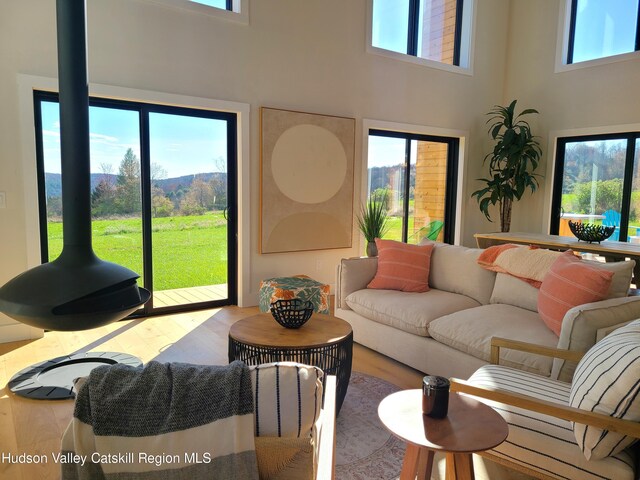 living room featuring a wealth of natural light