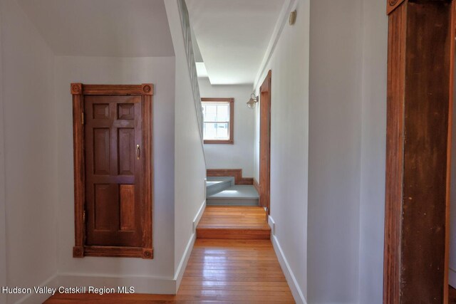 4 Park St, Millerton, NY 12546 - photo 45