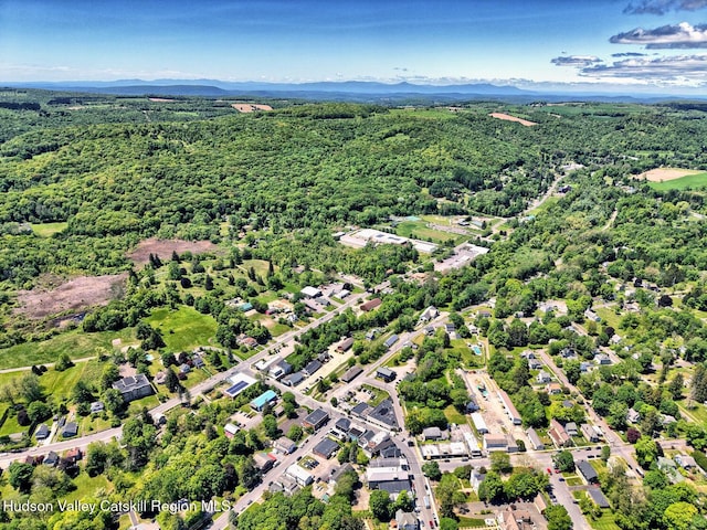 4 Park St, Millerton, NY 12546 - photo 63