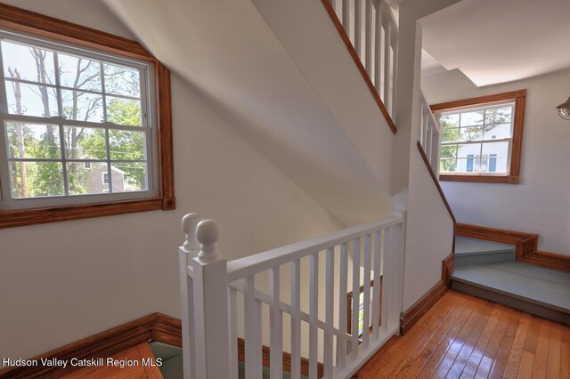 4 Park St, Millerton, NY 12546 - photo 46