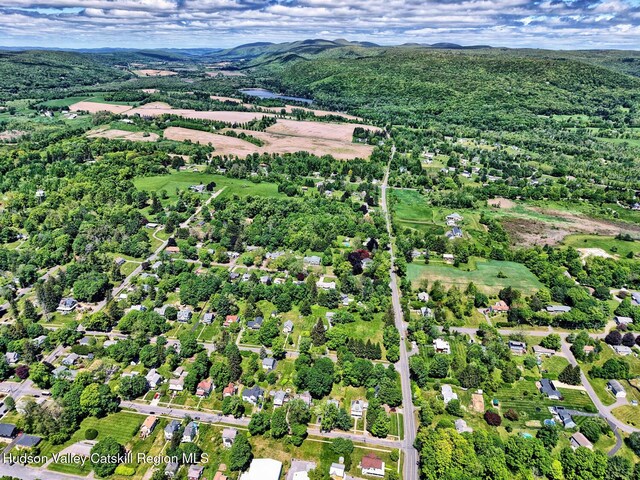 4 Park St, Millerton, NY 12546 - photo 65