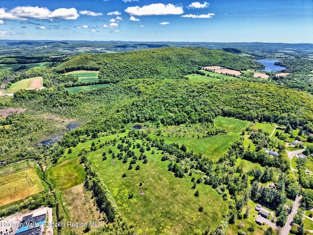 4 Park St, Millerton, NY 12546 - photo 64