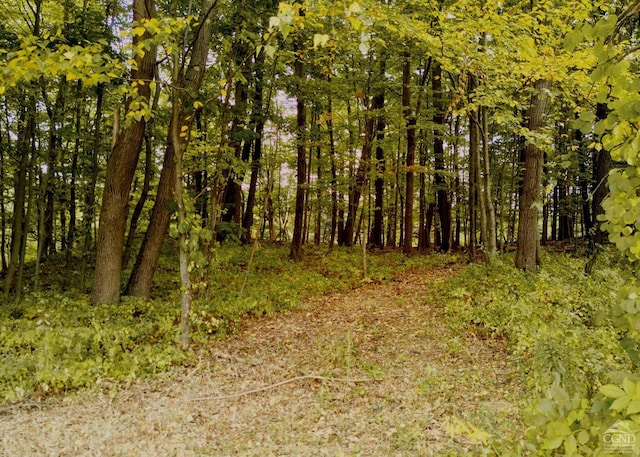 0 River Rd, Schodack Landing, NY 12156