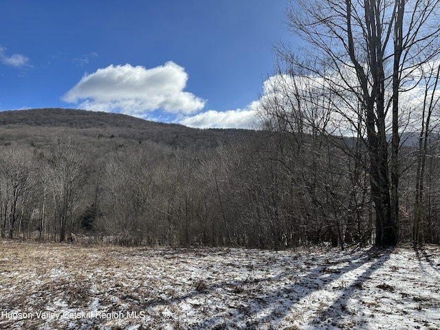 Listing photo 3 for TBD Todd Mountain Rd, Arkville NY 12406