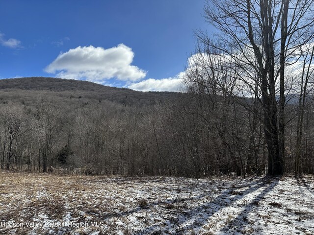 TBD Todd Mountain Rd, Arkville, NY 12406 - photo 3