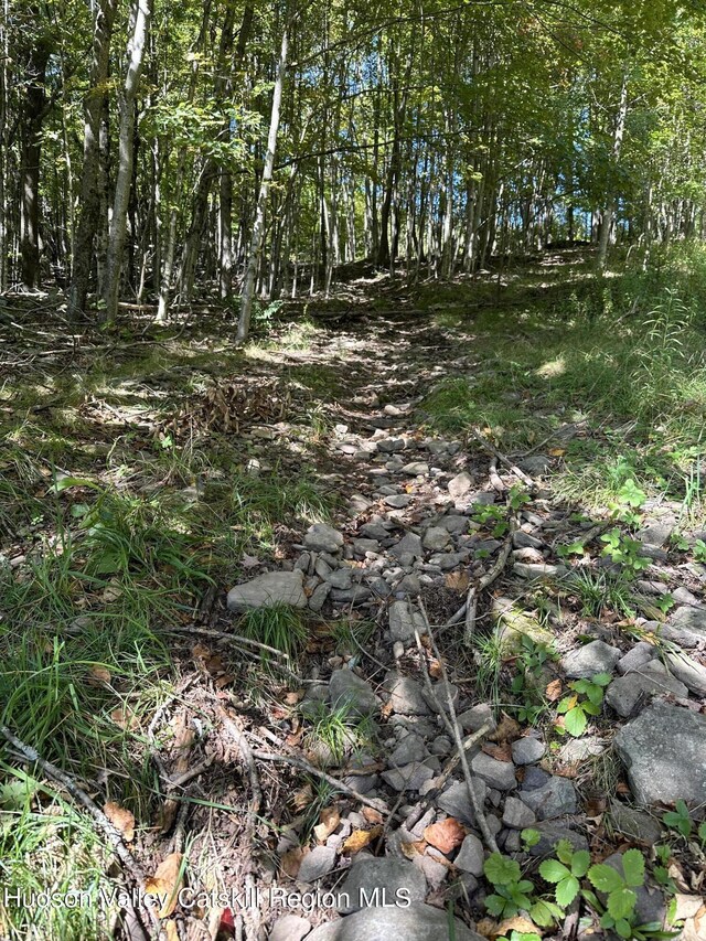 TBD Todd Mountain Rd, Arkville, NY 12406 - photo 6