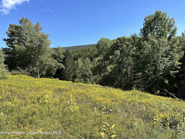 TBD Todd Mountain Rd, Arkville, NY 12406 - photo 1