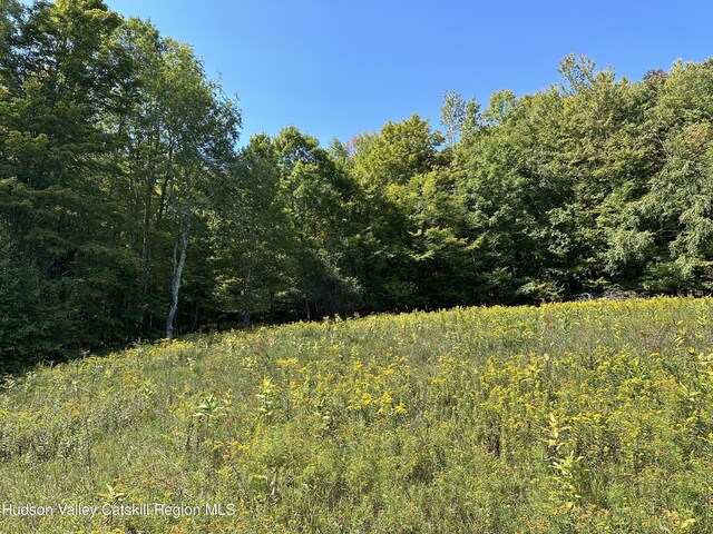 TBD Todd Mountain Rd, Arkville, NY 12406 - photo 7