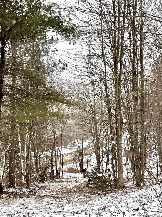 TBD Todd Mountain Rd, Arkville, NY 12406 - photo 4