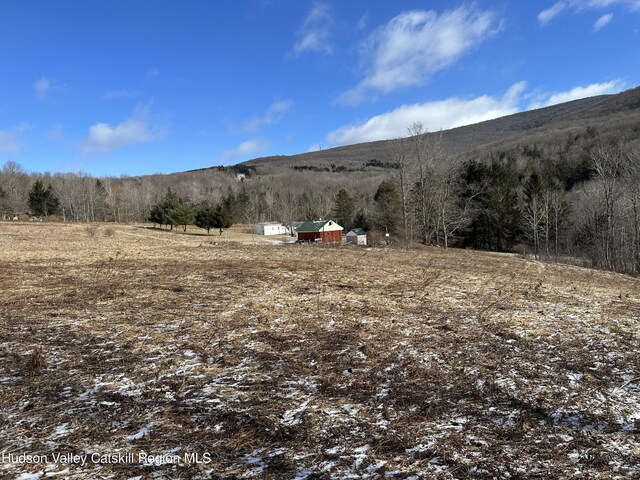 TBD Todd Mountain Rd, Arkville, NY 12406 - photo 5