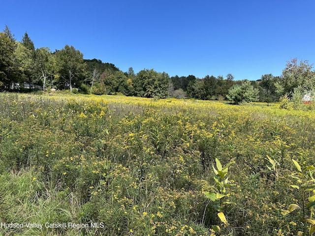 TBD Todd Mountain Rd, Arkville, NY 12406 - photo 2