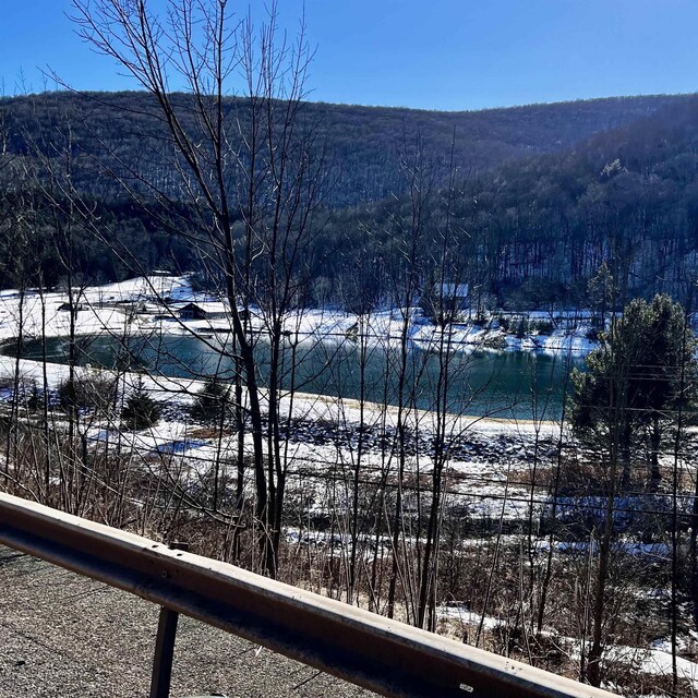 TBD Todd Mountain Rd, Arkville, NY 12406 - photo 10