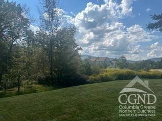 274 Brooksburgh Rd Unit 10, Windham, NY 12496 - view of grassy yard