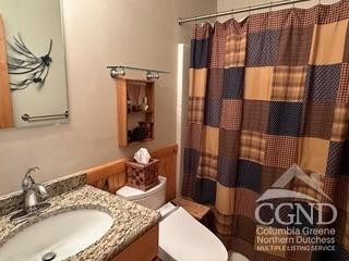 274 Brooksburgh Rd Unit 10, Windham, NY 12496 - bathroom with vanity, toilet, and curtained shower