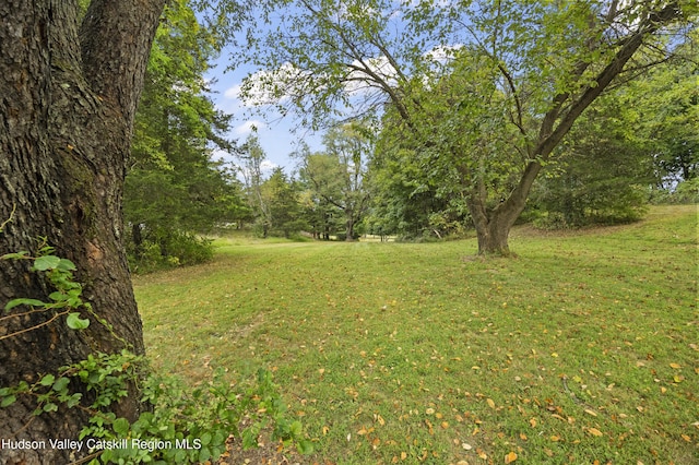 55 Church Ave, Germantown, NY 12526 - view of green lawn