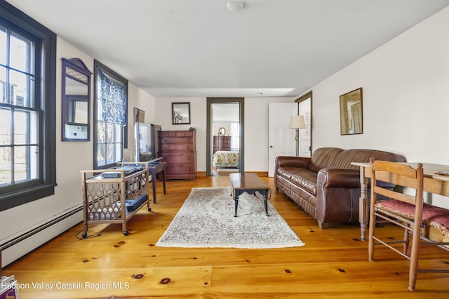 55 Church Ave, Germantown, NY 12526 - living room featuring light wood-style flooring