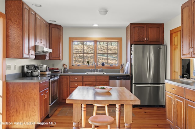 55 Church Ave, Germantown, NY 12526 - kitchen with appliances with stainless steel finishes, under cabinet range hood, a sink, wood finished floors, and recessed lighting