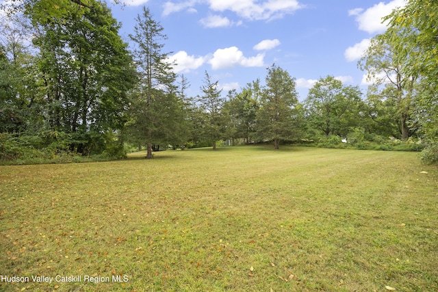 55 Church Ave, Germantown, NY 12526 - view of green lawn