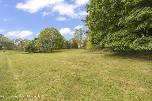 55 Church Ave, Germantown, NY 12526 - view of grassy yard